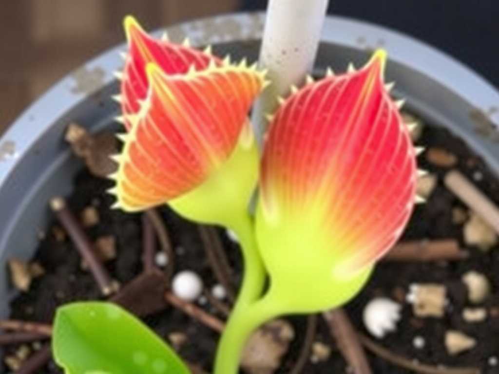 How to Troubleshoot Venus Flytrap: 3 Tips to Lower High Soil pH(1)